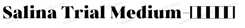 Salina Trial Medium字体转换